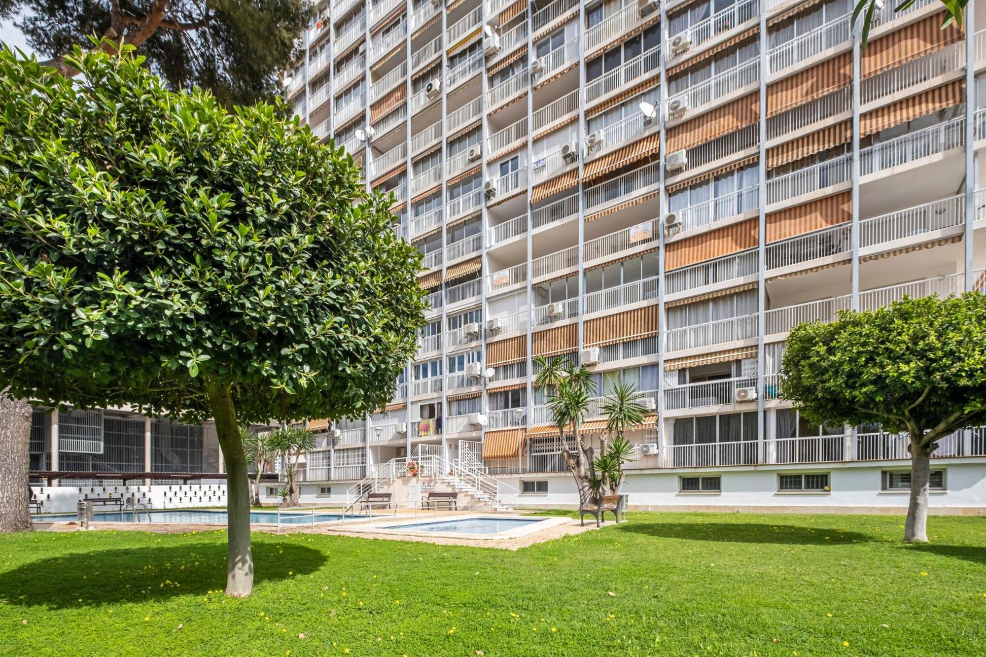 Albatros 14-10 Estudio Levante Apartment Benidorm